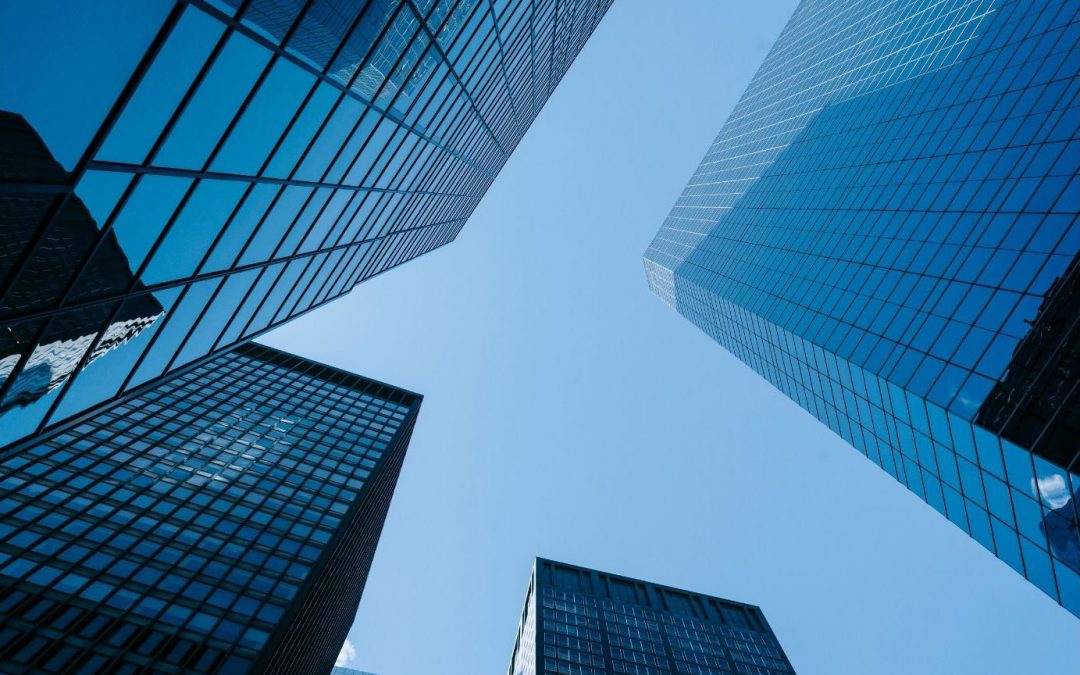La Professione del Consulente del Lavoro